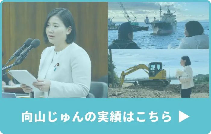 向山じゅんの実績はこちらから