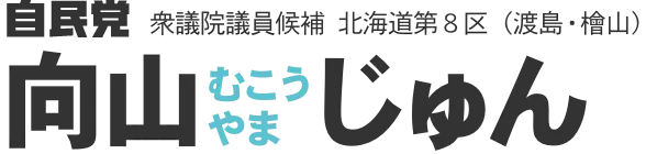自民党衆議院議員候補 北海道第８区 向山（むこうやま）じゅん